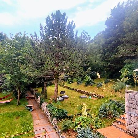 Amazing Sea-Mountain Valley View House With 3 Terraces And Huge Chill Gardens, 5Min From The Sea! Bribir  Kültér fotó